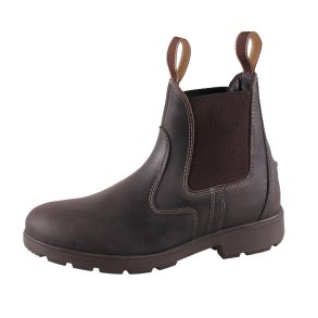 Campus Cambridge - Dark Brown