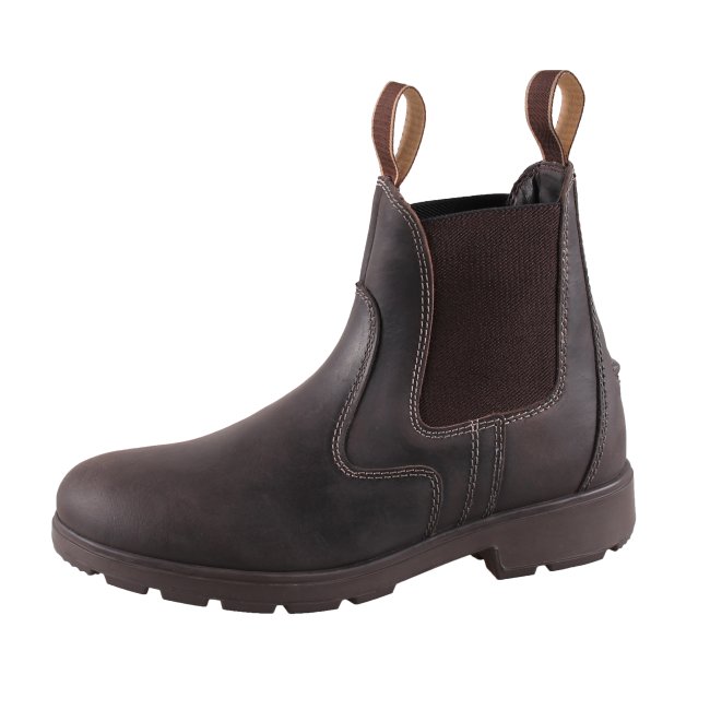 Campus Cambridge - Dark Brown